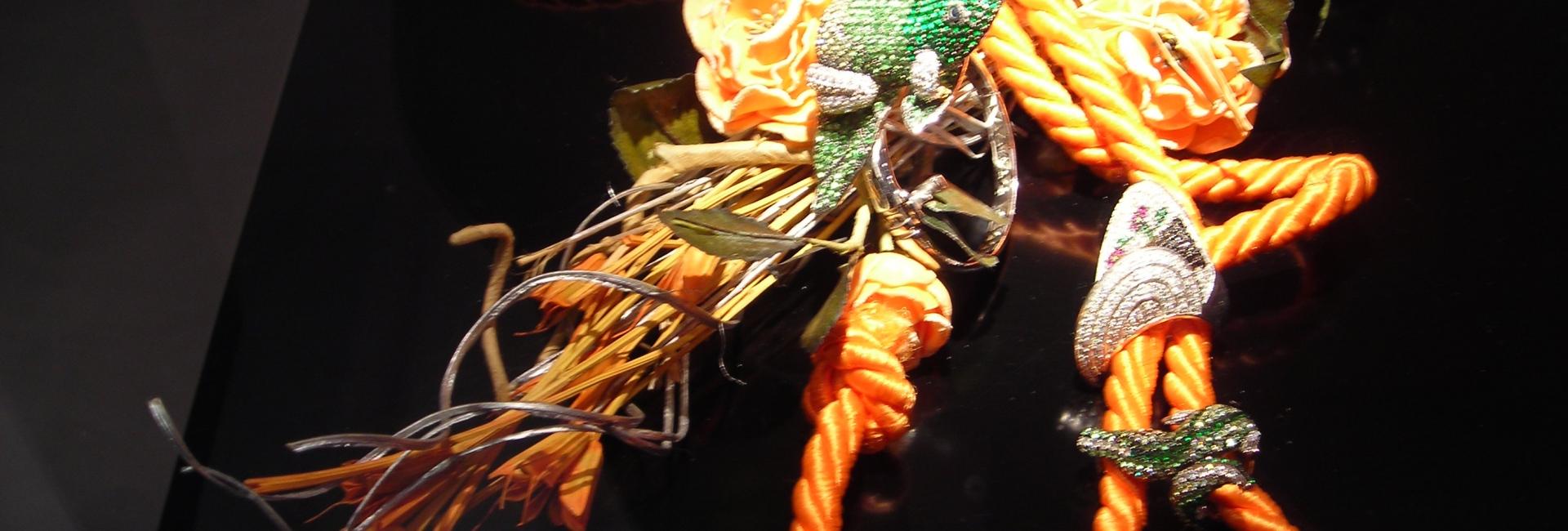 DSCN2809.JPG