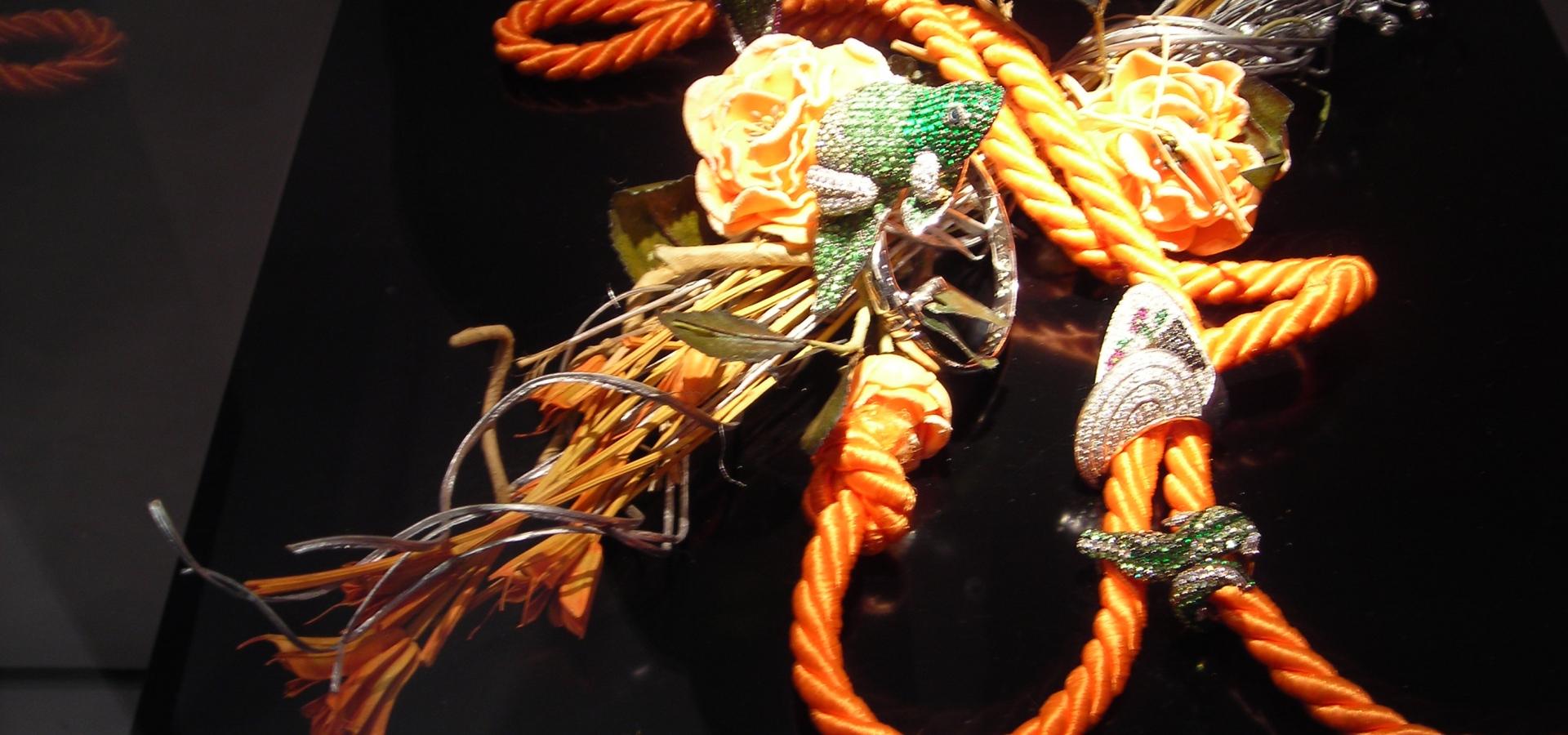 DSCN2809.JPG