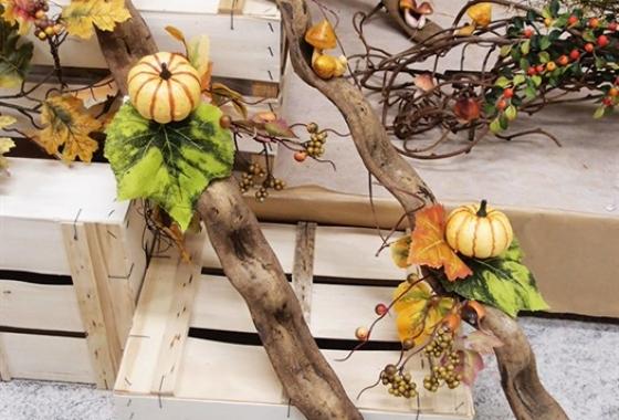 520_VETRINA-AUTUNNO.jpg