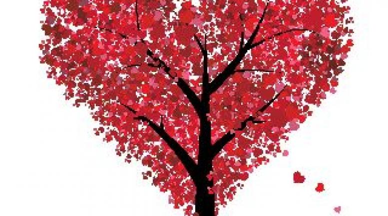 San_Valentino___Albero_di_cuori.jpg